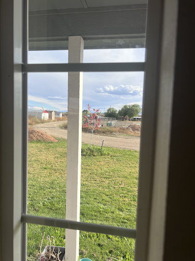 Photo submitted with a Google review