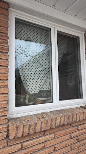 Photo submitted with a Google review
