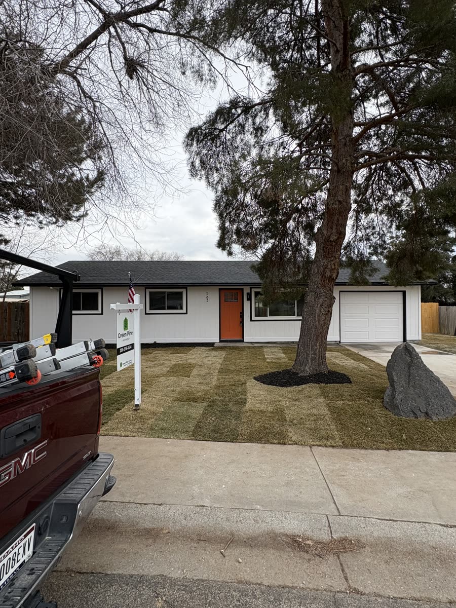 A single-story Kuna home under a large pine, seen from the street