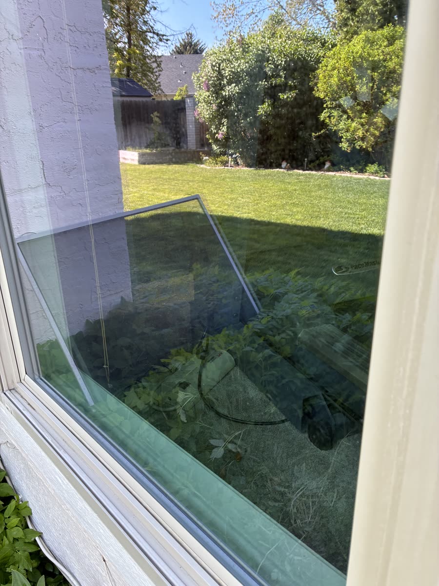 A clear pane after treatment, the lawn sharp through the glass