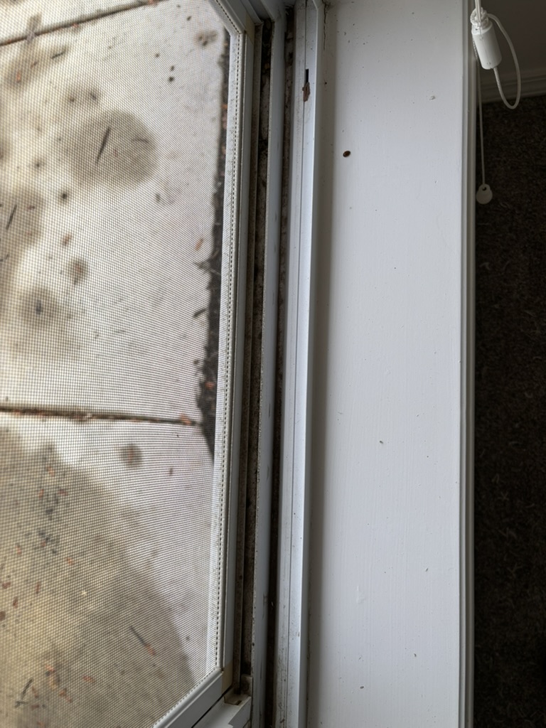 A window track before cleaning, grit packed along the channel and the screen still in place